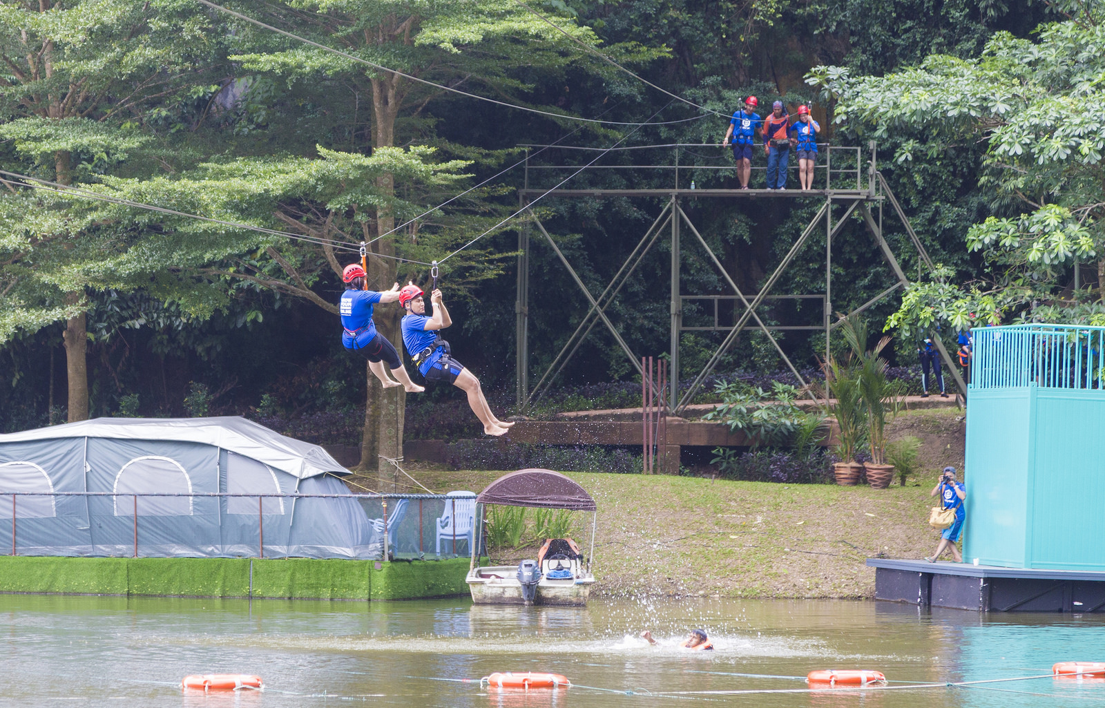 Flying fox